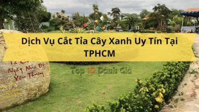 Top 10 Dịch Vụ Cắt Tỉa Cây Xanh Uy Tín Nhất Tại TPHCM