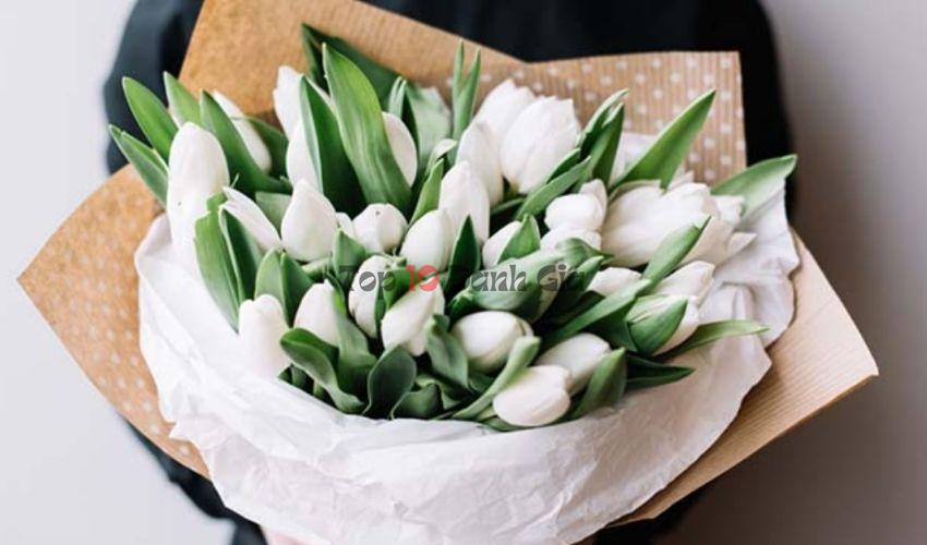 CaiNhi Flower & Wedding cung cấp: lan hồ điệp; hoa sinh nhật; hoa trang trí; hoa tình yêu; hoa giỏ, lẵng, bó, hộp, kệ; hoa cô dâu; hoa mở bán khai trương mở bán; hoa sự kiện;..