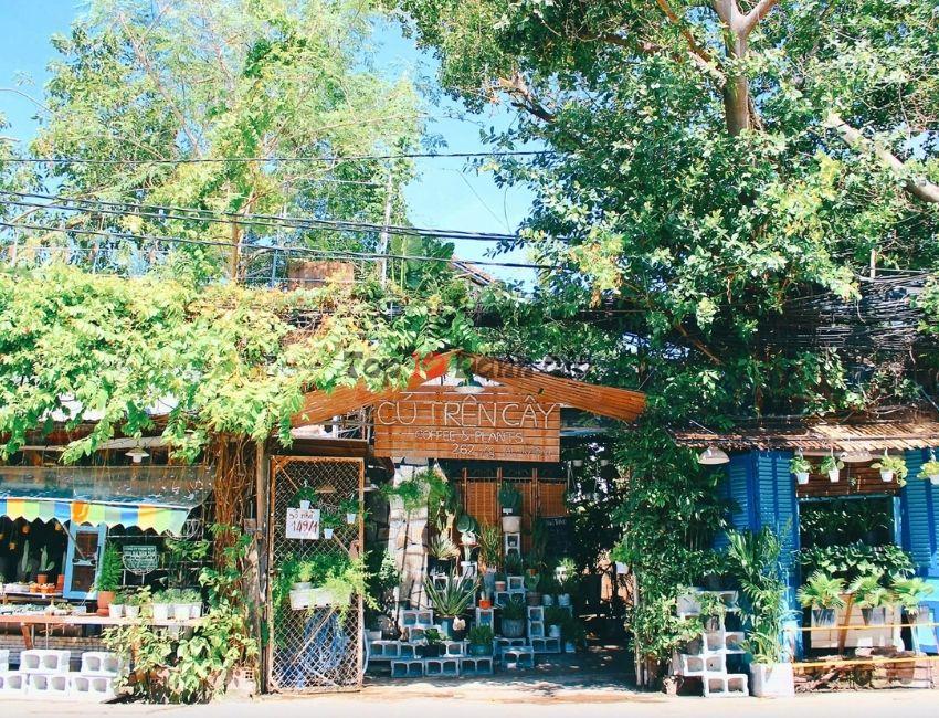 Cafe Cú trên cây Garden - Quán cafe thiên nhiên Sài Gòn