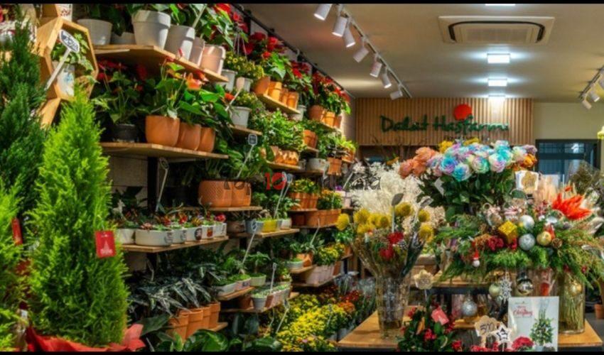 Dalat Hasfarm Flower Shop