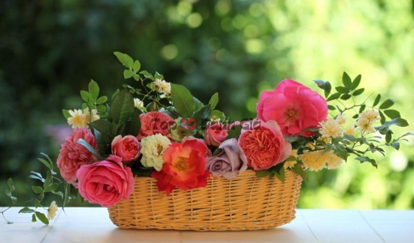 Green Flowers – Shop hoa tươi nhập khẩu là một đơn vị cung cấp hoa tươi uy tín tại Quận Thủ Đức
