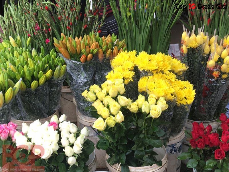 Shop Hoa Bình Dương - Shop có nhiều loại hoa đẹp tại Thủ Dầu Một Bình Dương