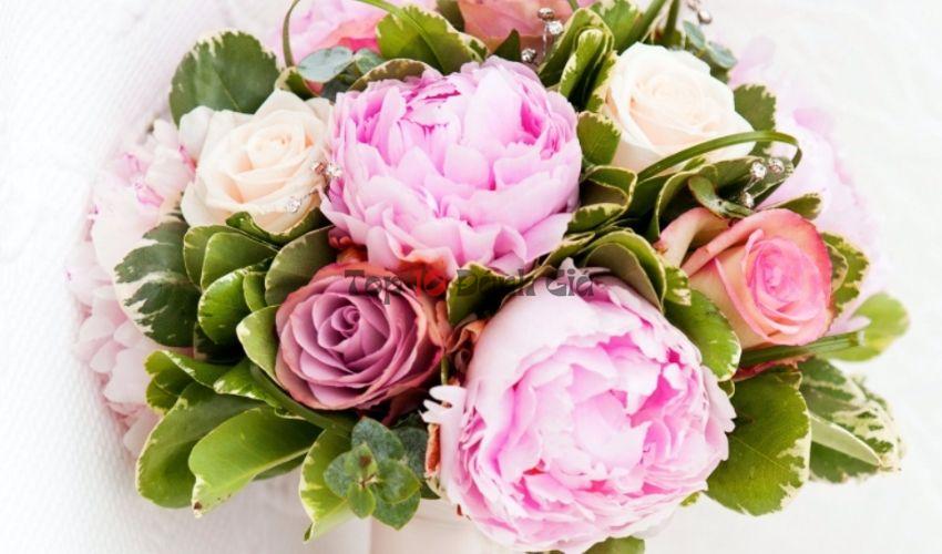Shop Hoa Tươi Quận Phú Nhuận - Bo Flower là một trong những cái tên mà người ta nhớ đến khi có nhu cầu về hoa tươi, hoa trang trí.
