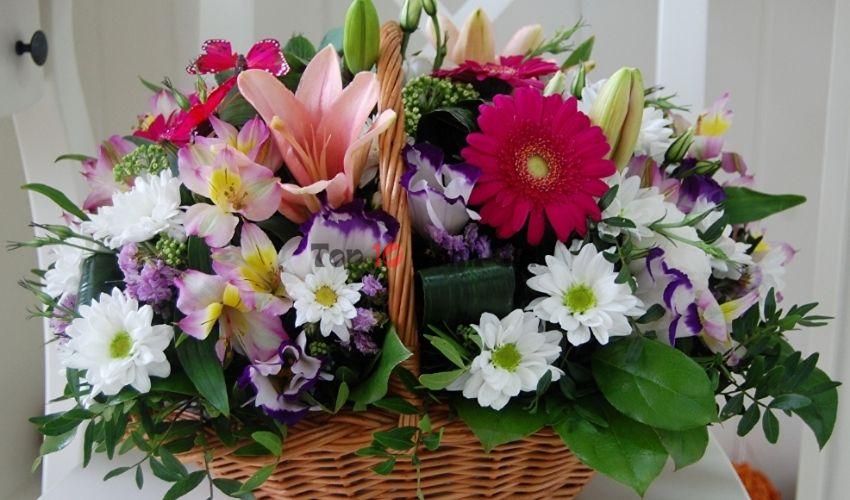 Shop hoa tươi TheOrchid Flower cung cấp các loại hoa như hoa lavender, hoa lan, hoa hồng,  hoa thanh liễu, hoa dã quỳ, hoa hướng dương,...