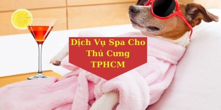 Top 10 Dịch Vụ Spa Cho Thú Cưng Chất Lượng Tại TPHCM