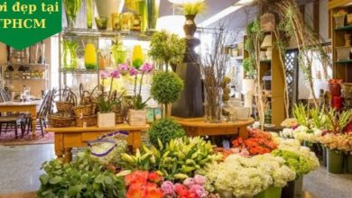 Top 10 Shop Hoa Tươi Đẹp Nhất Tại TPHCM