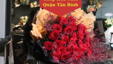 Top 10 Shop Hoa Tươi Quận Tân Bình Xinh Lung Linh