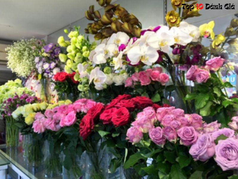 shop hoa tươi quy nhơn sơri flowers